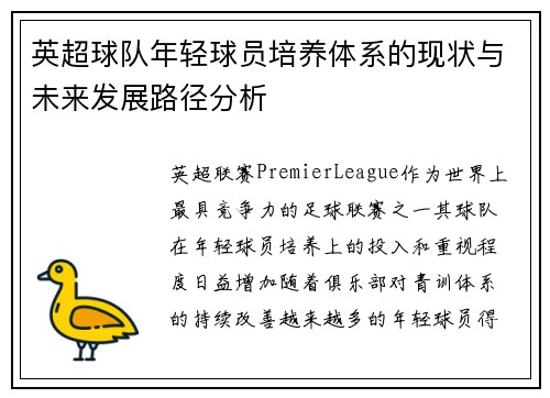 英超球队年轻球员培养体系的现状与未来发展路径分析